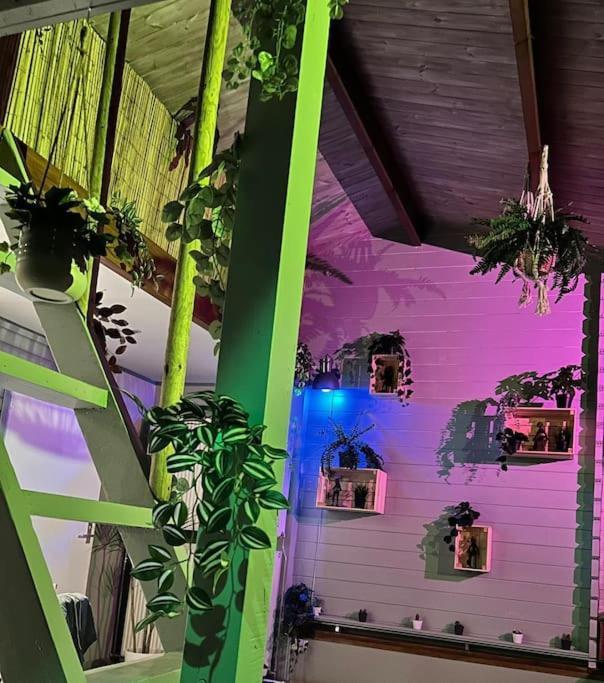 Jungle Style Lodge With Jacuzzi ,Sauna And Garden Near Amsterdam Vijfhuizen Экстерьер фото